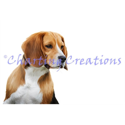 Beagle (Charting Creations)