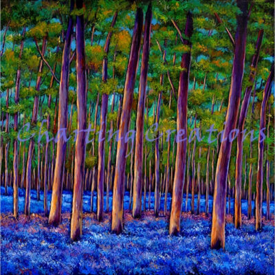 Bluebells Square (Johnathan Harris)