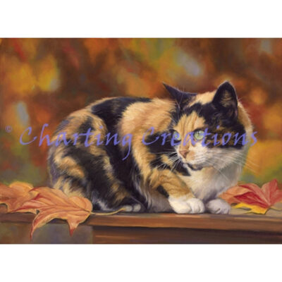 Calico In The Fall (Lucie Bilodeau)