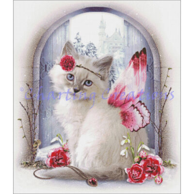 Cats Of The Month - January (The Mountain)