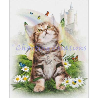 Cats Of The Month - April (The Mountain)