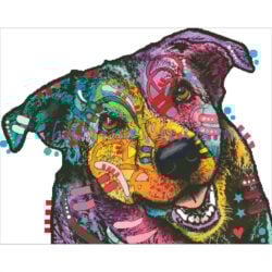 Colorful Mix (Dean Russo)