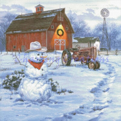 Country Christmas (Darrell Bush)