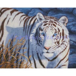 Crystal Eyes (Crista Forest)