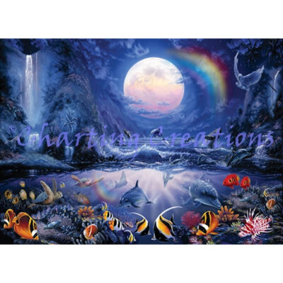 Dolphin Cove (Steve Sundram)