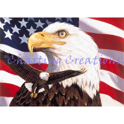 Eagle And Flag (William Vanderdasson)