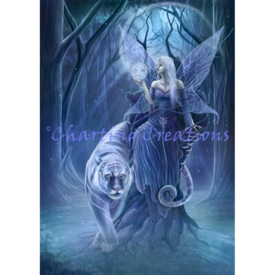 Evanescence (Clare Bertram)