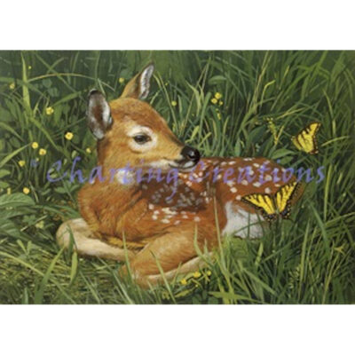 Fawn (William Vanderdasson)