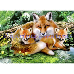 Foxes (Howard Robinson)
