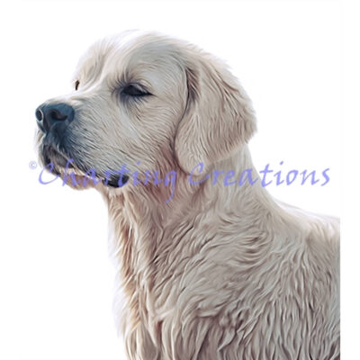 Golden Retriever (Charting Creations)