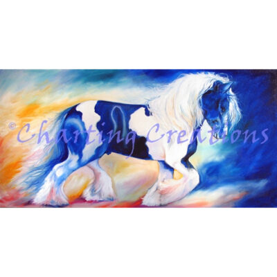 Gypsy Vanner (Marcia Baldwin)