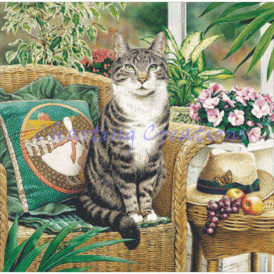 Hemingway (Geoff Tristram)