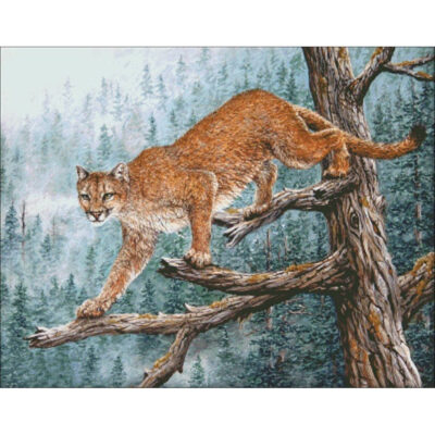 High Climber (Jeff Tift)
