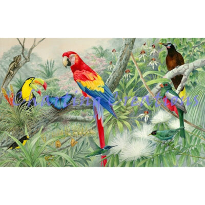 Jewels Of The Rainforest (Judy Mizell)