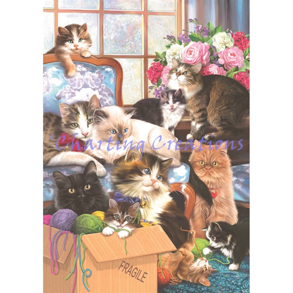 Kitten Caboodle (Simonetta Ubbiali)