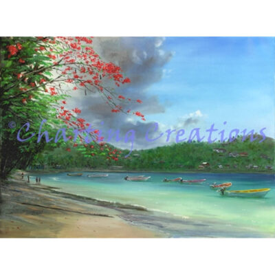 Laborie Bay with Flamboyant Tree (Jonathan Gladding)
