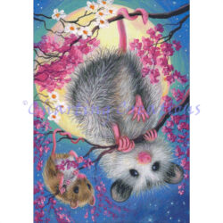 Little Blossom Babies (Bridget Voth)