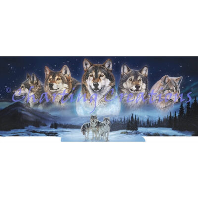 Moonlight Mystery (Al Agnew)