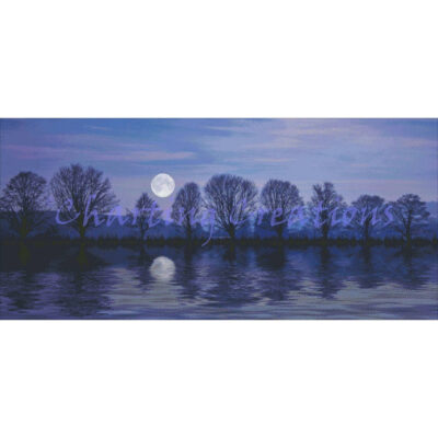 Moonlit Waters (Charting Creations)