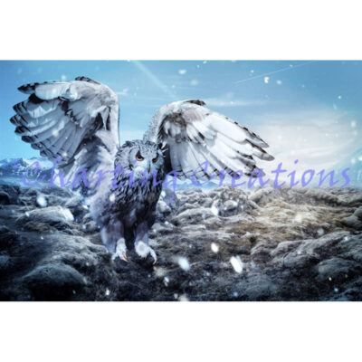 Northern Flight (Charting Creations)