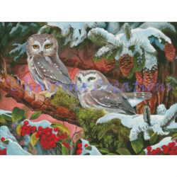 Northern Saw-whet Owls (Cobble Hill)