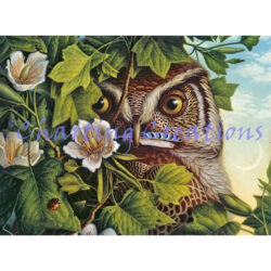 Owl (Dan Craig)