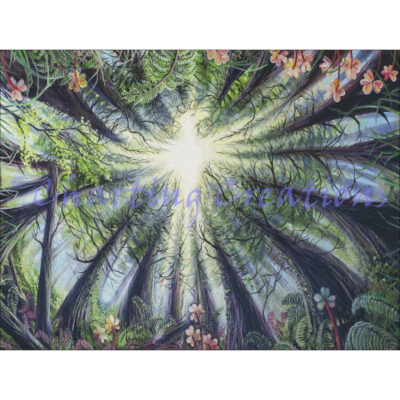 Phoenix In The Redwoods (Dakota Daetwiler)