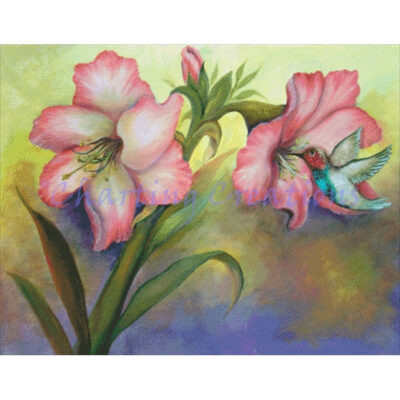 Pink Ice Amaryllis (Mara Trumbo)