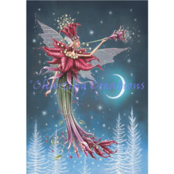 Poinsettia Fairy (Reuben McHugh)