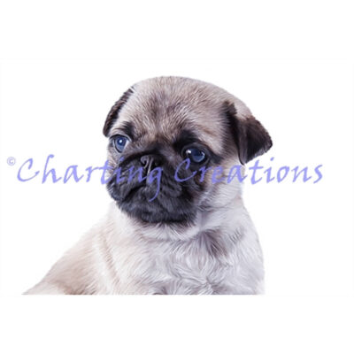 Pug (Charting Creations)