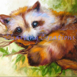 Raccoon Eyes (Marcia Baldwin)