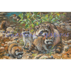 Raccoon Family And Friends (Amy Brackenbury)
