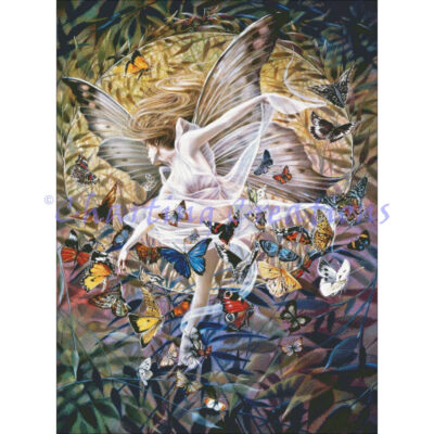 Revelation (Sheila Wolk)
