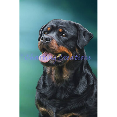 Rottweiler Portrait (Charting Creations)