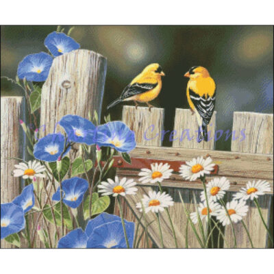 Small Morning Glories And Finches (William Vanderdasson)