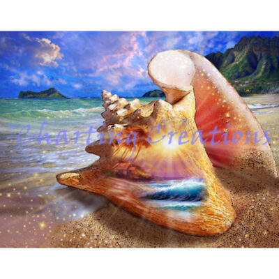Seashells By The Seashore (Steve Sundram)