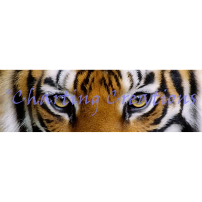 Snippet Tiger Stare (Charting Creations)