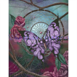 Spirit Of Dreams (Clare Bertram)