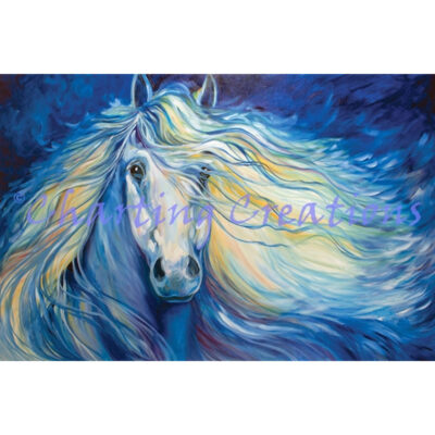 Stardust Horse (Marcia Baldwin)