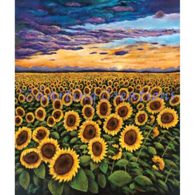 Sunset Starburst (Johnathan Harris)