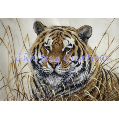 Tiger JT (Jeff Tift)