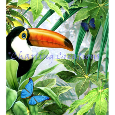 Toco Tucan (Howard Robinson)