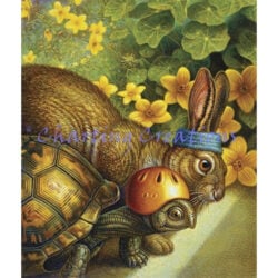 Tortoise And Hare (Dan Craig)