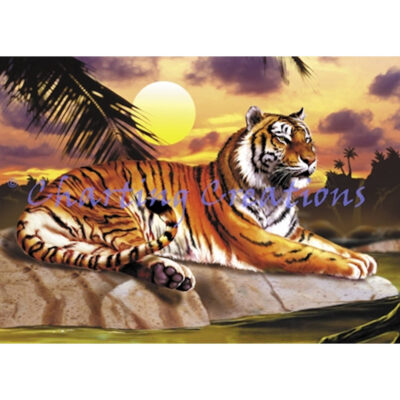 Tropical Tiger (Lorenzo Tempesta)