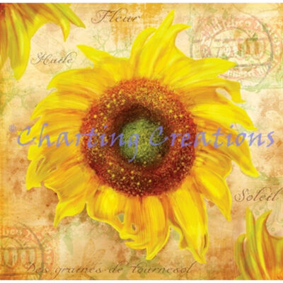 Tuscan Sunflower (Ali Chris)