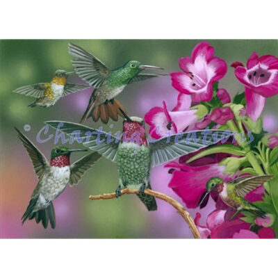 Up And Away (William Vanderdasson)