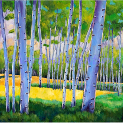 View Through The Aspens (Johnathan Harris)