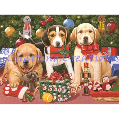 Which One's Mine? (William Vanderdasson)