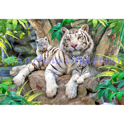 White Tigers Of Bengal (Howard Robinson)