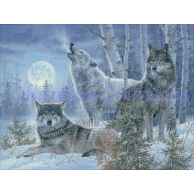 Winter Moonrise (Abraham Hunter)